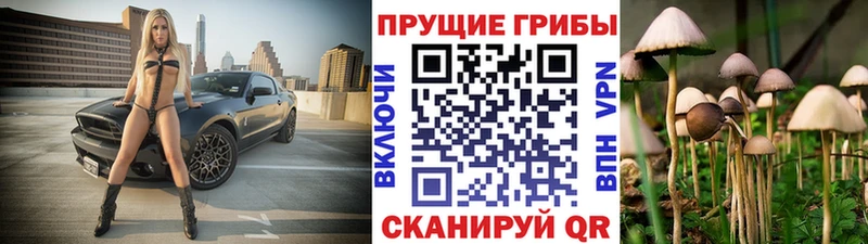 Псилоцибиновые грибы Psilocybine cubensis  хочу   кракен онион  Шахты 