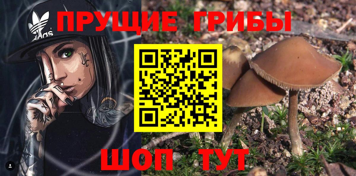 Галлюциногенные грибы Psilocybine cubensis  Вход с VPN  Шахты 