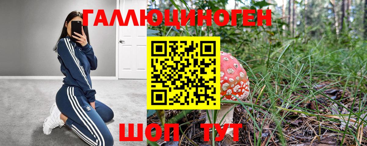 Галлюциногенные грибы Magic Shrooms Шахты